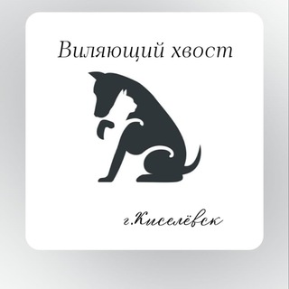 Telegram profile photo for Виляющий хвост🐾