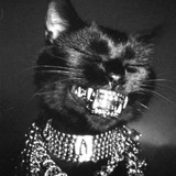 Telegram profile photo for 𝐃𝐞𝐧𝐢𝐳🐈⬛️