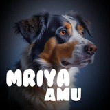 Telegram profile photo for «MRIAY_Amu»