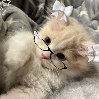 Telegram profile photo for Angels channel