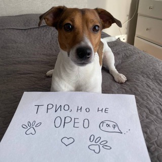 Telegram profile photo for Трио, но не орео