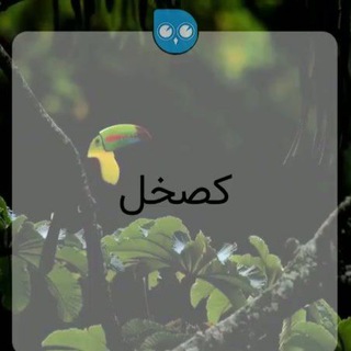 Telegram profile photo for کصخل یاب بهداشتی 🐣 (جنبه نداری وارد نشو)