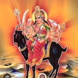 Telegram profile photo for INDIAN XAUUSD TRADING