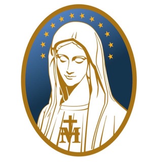 Telegram group profile photo for VINDE E VEDE BRASIL