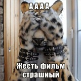Telegram profile photo for Bruh