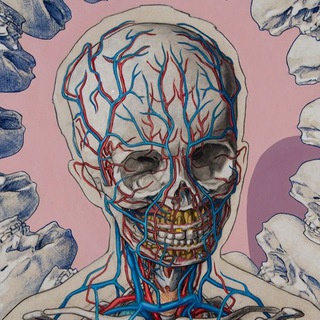 Telegram profile photo for Biology with Noor ♡