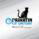 Telegram profile photo for Prihatin Cat Sanctuary