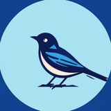Telegram profile photo for VH-2X06