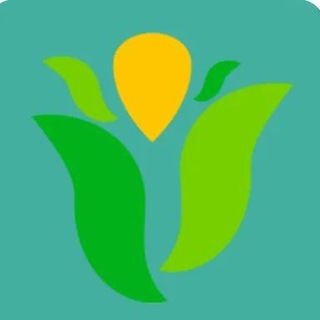Telegram profile photo for NGO Jobs in Myanmar
