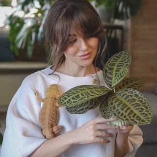 Telegram profile photo for Moss Grow 🌾