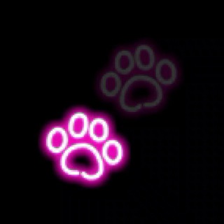 Telegram profile photo for beautiful