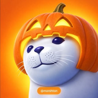 Telegram profile photo for morsh.ton
