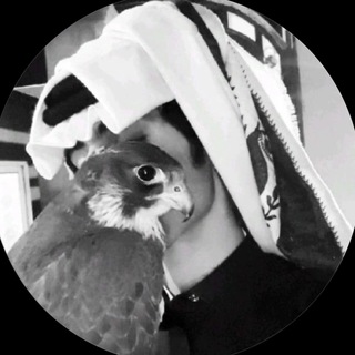 Telegram profile photo for ⌯ليّيون .