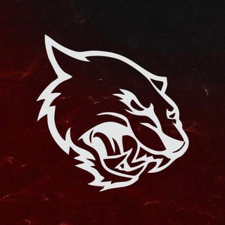 Telegram profile photo for bars_fight