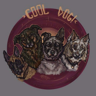 Telegram profile photo for COOL DOG | Амуниция для собак