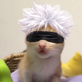 Telegram profile photo for 𝗥𝟏𝗸𝟏