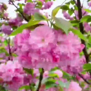 Telegram profile photo for حرف های دلنشین