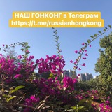 Telegram profile photo for Наш Гонконг
