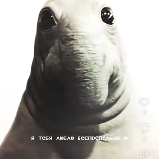 Telegram profile photo for >_< лак облез