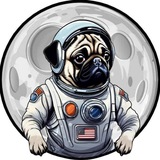 Telegram profile photo for $PUGO - portal