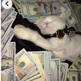 Telegram profile photo for 💸Work Money 💸/✨заработок на отзывах ✨