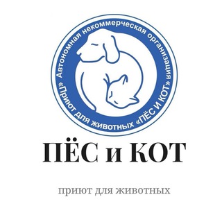 Telegram profile photo for Приют Пес и Кот Южно-Сахалинск