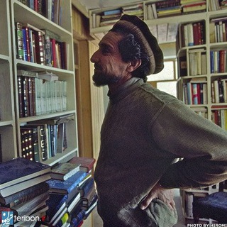 Telegram profile photo for Lion’s Library