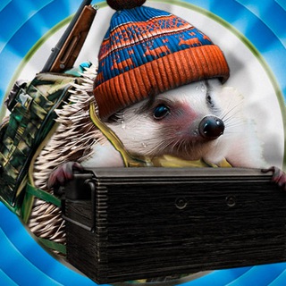 Telegram profile photo for НОРА СБЭУ ЕЖА