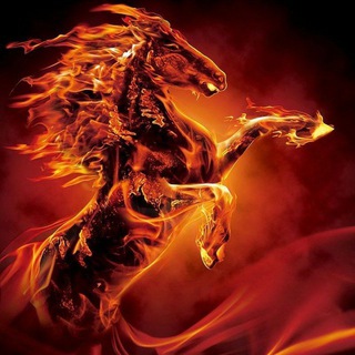 Telegram profile photo for Fire Horse