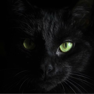 Telegram profile photo for Мистика рядом