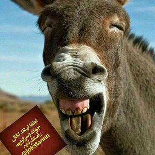 Telegram profile photo for 🇮🇷کانال جوک وسرگرمی🇮🇷