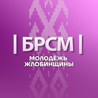 Telegram profile photo for Молодёжь Жлобинщины |БРСМ|
