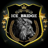 Telegram profile photo for Ice Bridge