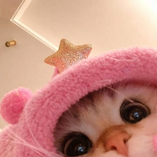 Telegram profile photo for ثقه مصاب بها