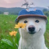 Telegram profile photo for π£π‘π π’π©ππ₯πππ¬ ππ’π‘π
