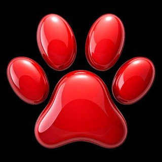 Telegram profile photo for BMP_real