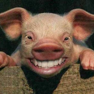 Telegram profile photo for Canal de Memes Malos | Humor y Shitpost