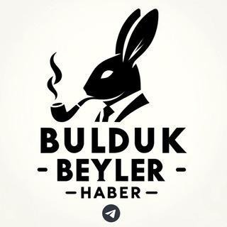 Telegram profile photo for Bulduk Beyler Haber 🇹🇷