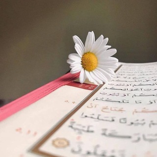 Telegram profile photo for حفظ القرآن الكريم 🤎🌷
