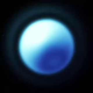 Telegram profile photo for Rid Contest