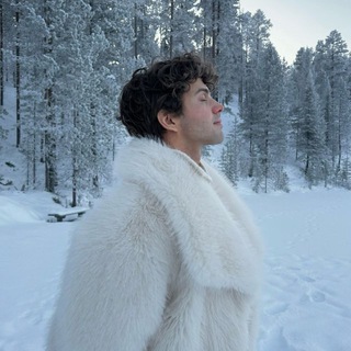 Telegram profile photo for Beznadesht | Примеры работ