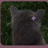 Telegram profile photo for ابواب الله لاتغلق