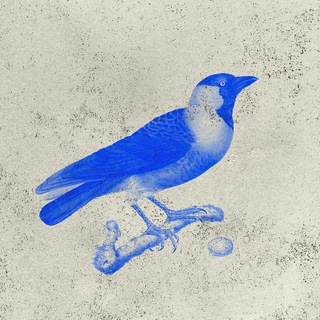 Telegram profile photo for Галкино гнездо