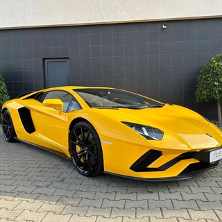 Telegram profile photo for Millionaire_stapanu Trading