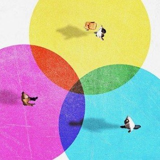Telegram profile photo for Белов постит