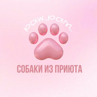 Telegram profile photo for Приютские новости
