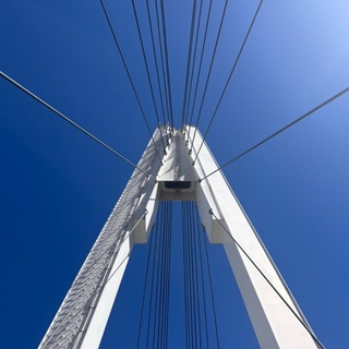 Telegram profile photo for мостык