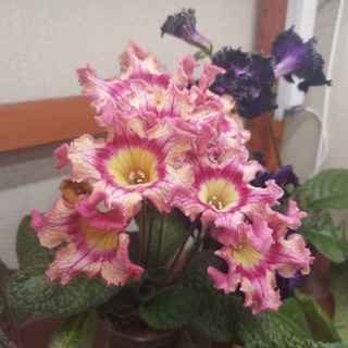 Telegram profile photo for Листочки и цветочки🌱🌸