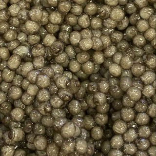 Telegram profile photo for Caviar