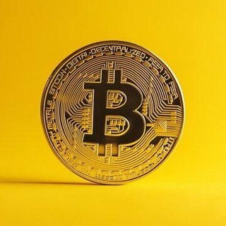 Telegram profile photo for TOP RANKED